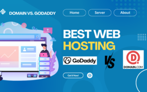 Read more about the article Domain vs. GoDaddy 2024 – Which is the Best web hosting?